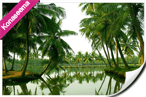 Punnami Tours Packages, konaseema andaalu, tour to konaseema, konaseema packages, konaseema kobbari trees